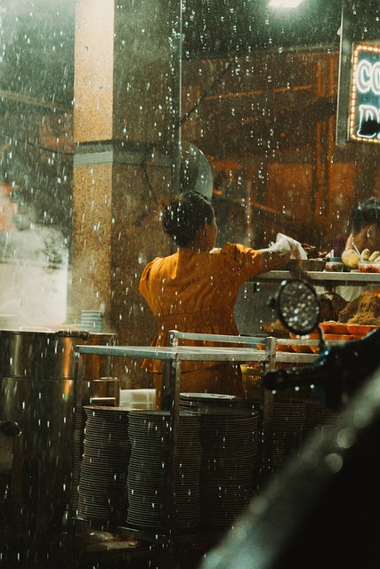 Vietnam, Regn, Liv, Minder