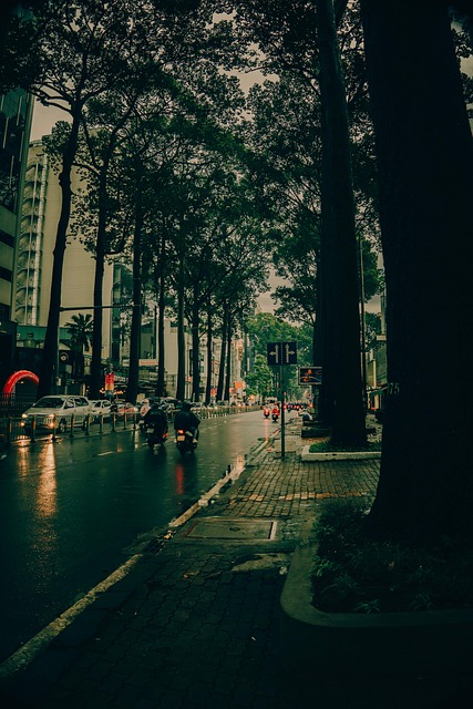 Vietnam, Gade, By, Regn