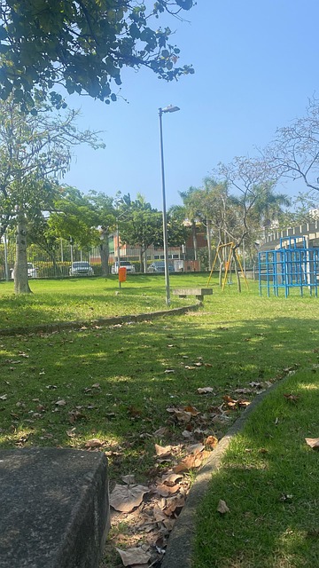 Rio De Janeiro, Brasilien, Natur