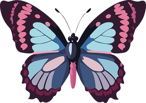 Free Butterfly Pink Butterfly vector and picture