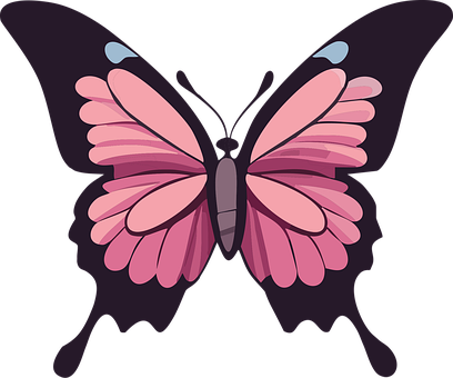 Free Butterfly Pink Butterfly vector and picture