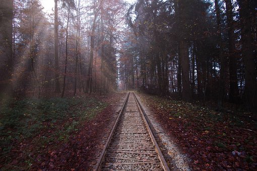 Wald, Natur, Kunst, Eisenbahn, Schienen