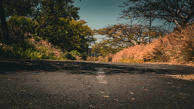 Free Road Nature photo and picture
