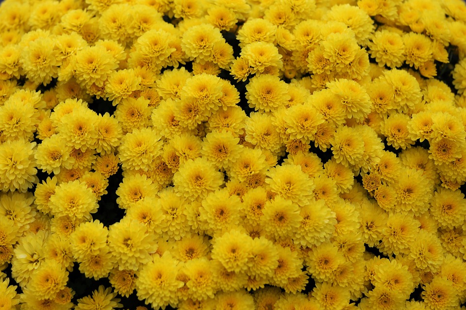 Image 16