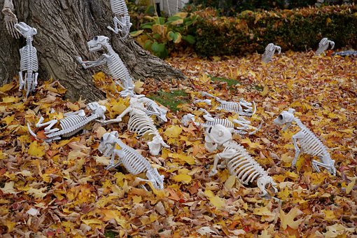 Herbst, Garten, Die Landschaft