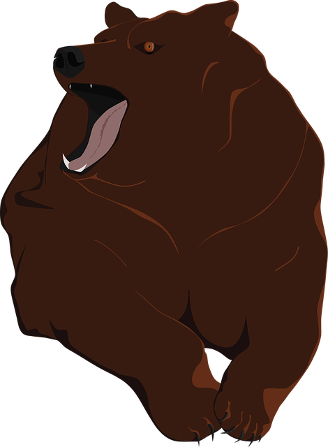 Zviera, Netvor, Mäsožravý, Dravec, Bear