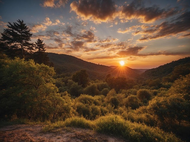 Download free HD stock image of Ai Generated Sunrise Free ai generated sunrise nature illustration