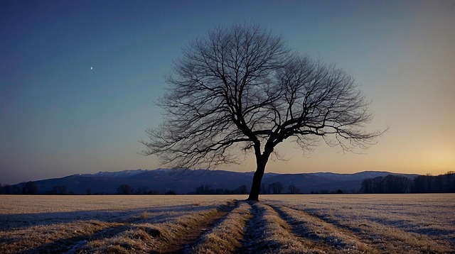 Ai Gerado, Campo, Pôr Do Sol, Crepúsculo