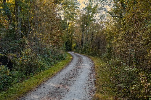 Waldweg, Weg, Bäume Herbst, Herbstfarben