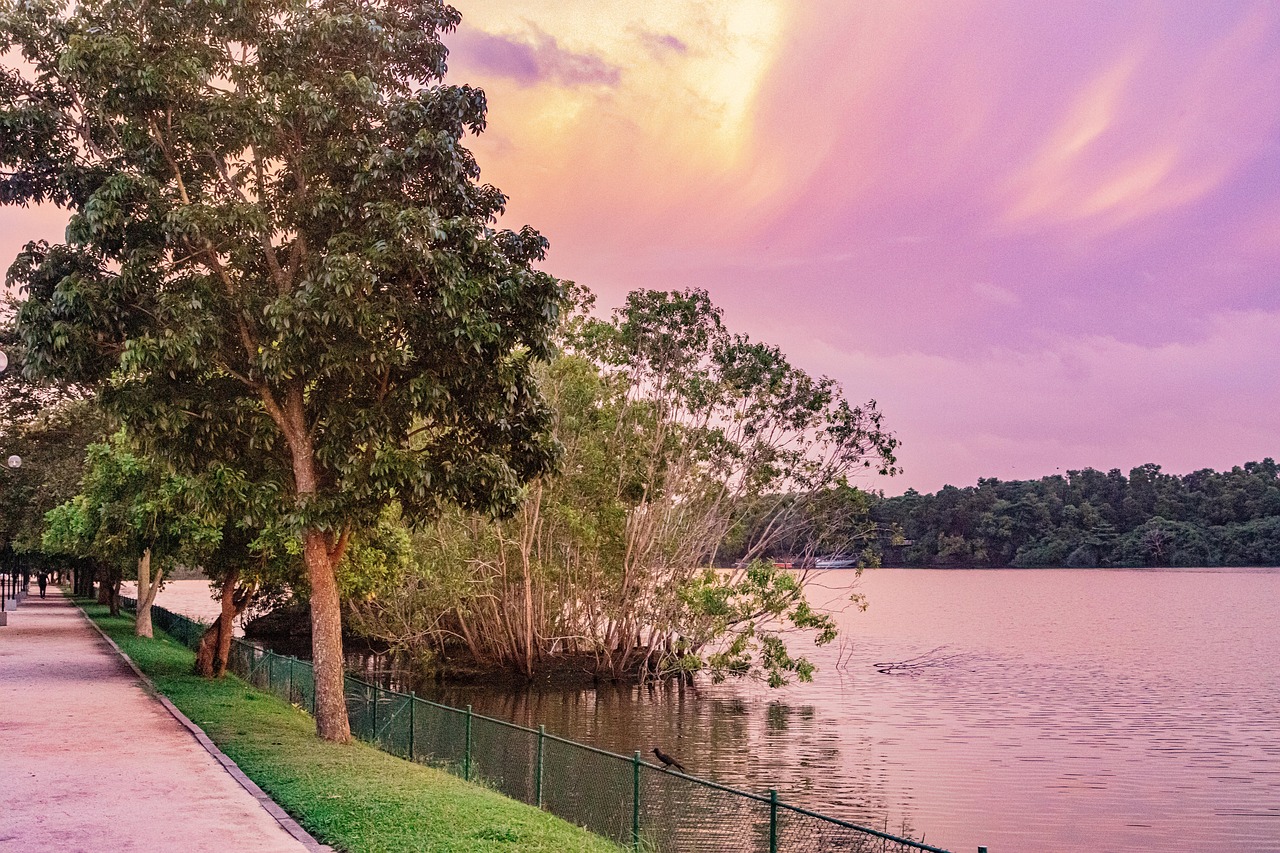 Colombo Nature Parc Srilanka Colombo - Photo gratuite sur Pixabay - Pixabay