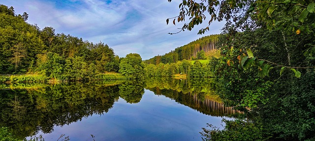 Free Lake Forest photo and picture