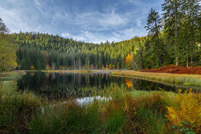 Lago, Bühlbachsee, Panorama, Naturaleza