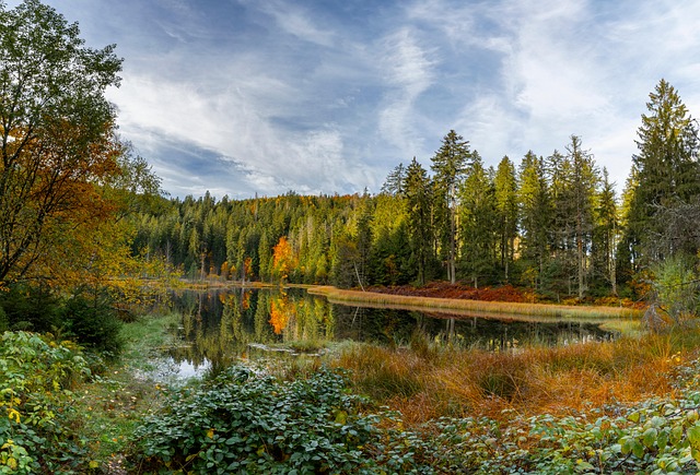 Lago, Schwarzwald, Bühlbachsee, Panorama
