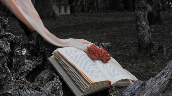 Inverno, Livro, Seda, Madeira, Natureza