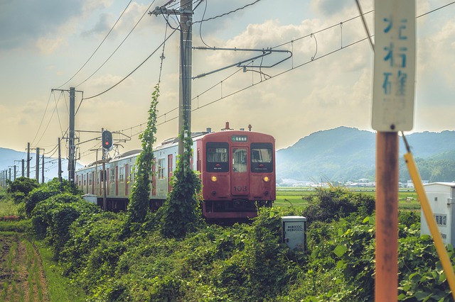 Free Japan Train photo and picture