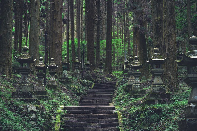 Templo, Santuario, Japón, Kyushu, Bosque