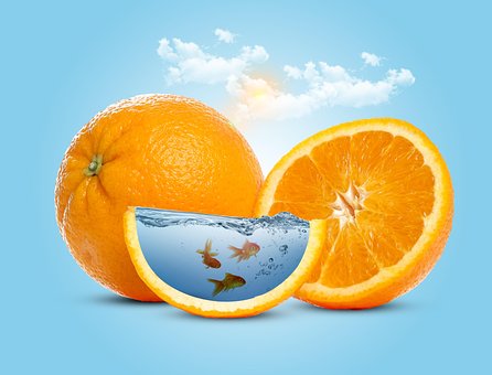 Free Orange Slice illustration and picture