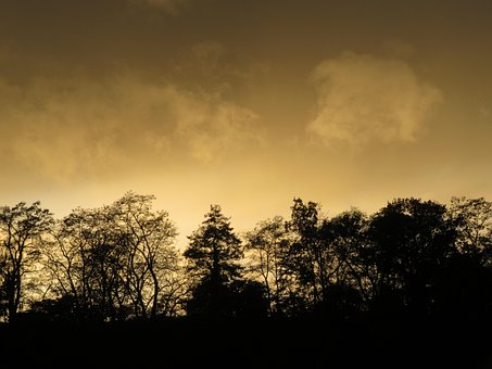 Regn Skyer, Aften Sol