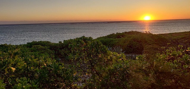 Free Sun Sea photo and picture