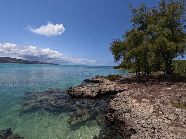Free Lagoon Nature photo and picture