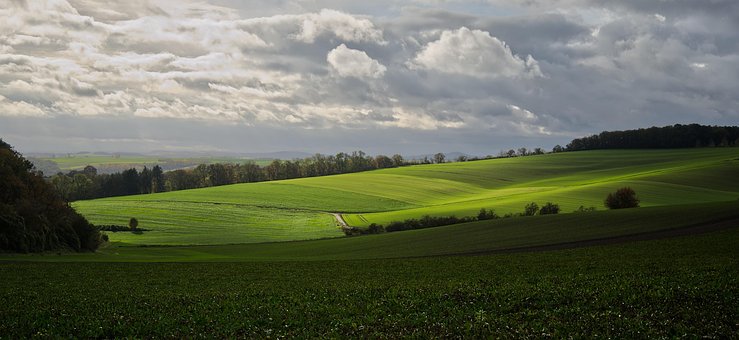 Free Fields Clouds photo and picture