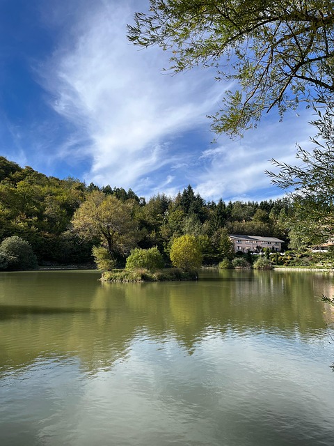 Lac, Pace, Pașnică, Meditaţie, Apă