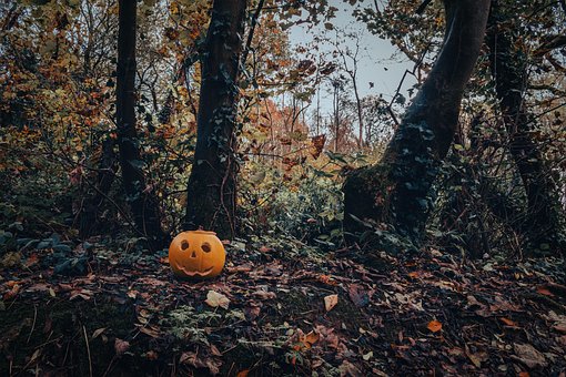 Park, Kürbis, Halloween, Bäume, Wald