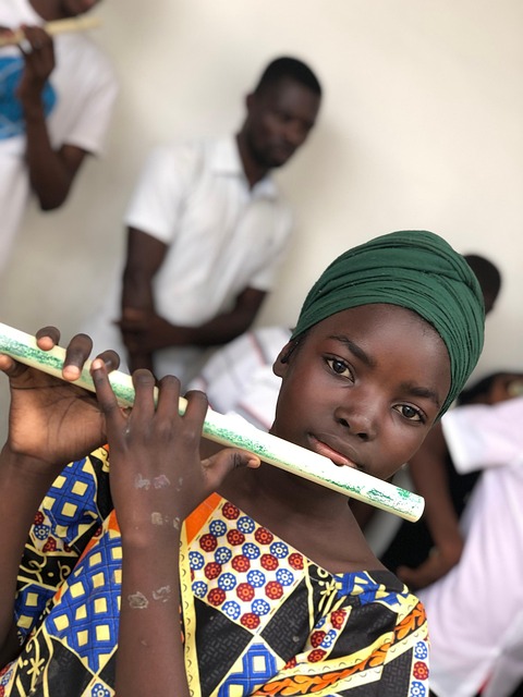 Local Instruments Angola Musicien Instrument Angola - Photo gratuite sur Pixabay - Pixabay