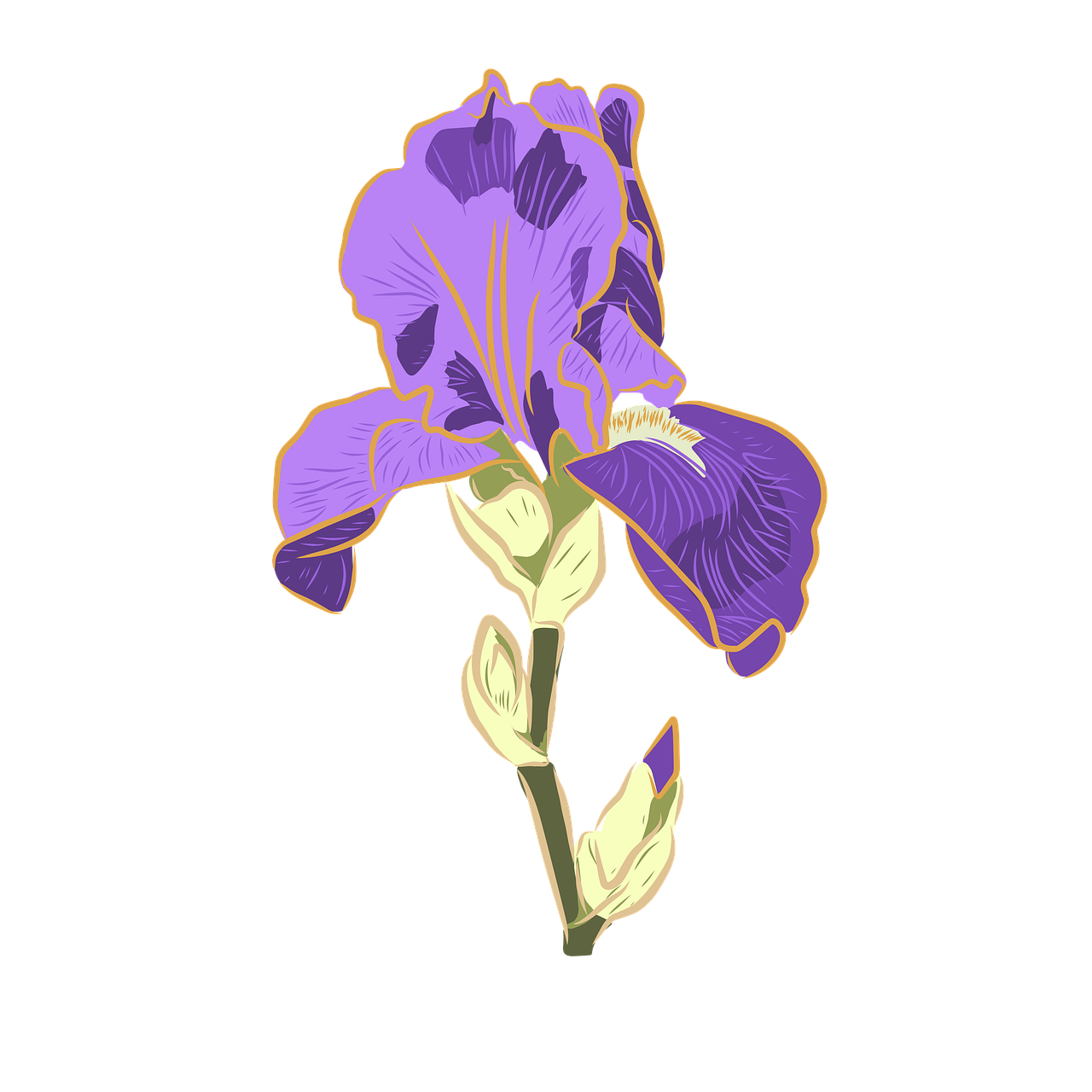 Download Irish Flower Abstract RoyaltyFree Stock Illustration Image
