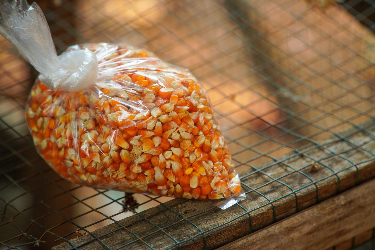 popcorn-graines-aliments-photo-gratuite-sur-pixabay-pixabay