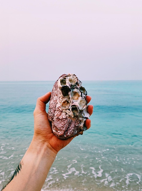 Free Beach Sky photo and picture