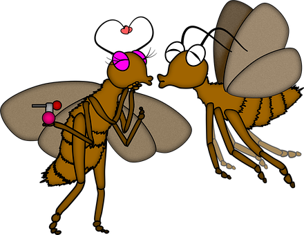 Free Insect Entomology illustration and picture