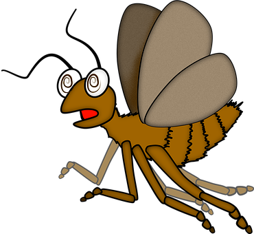 Free Insect Entomology illustration and picture