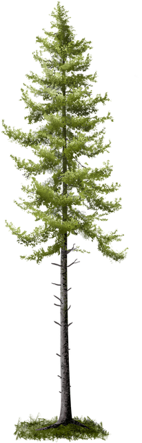 Free Nature Biology illustration and picture
