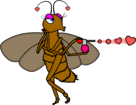 Free Insect Entomology illustration and picture