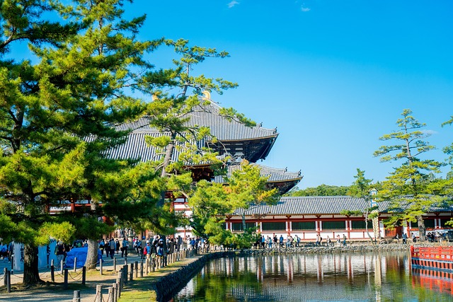 Free Asia Autumn Forest photo and picture