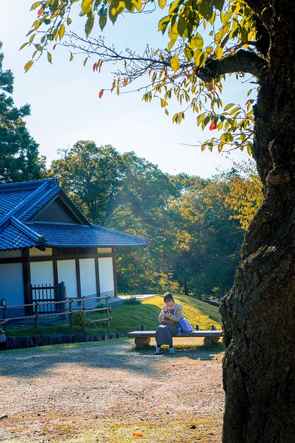Free Asia Autumn Forest photo and picture