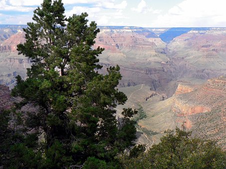 Grand Canyon, Colorado, Usa, Bjerge, Dal