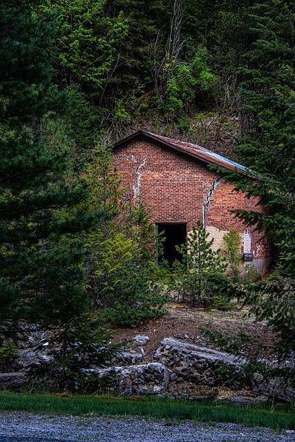 Ziegel, Bäume, Grün, Kiefern, Idaho, Usa