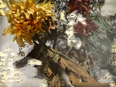 Scrapbooking, Hintergrund, Trockenblumen