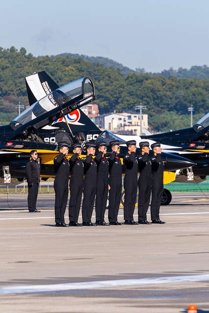 Free Airplane Air Show photo and picture
