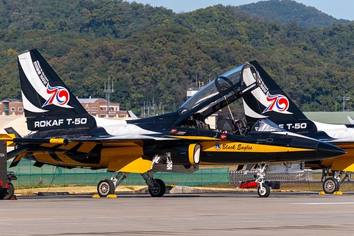 Free Airplane Air Show photo and picture