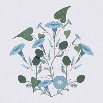 Fleurs, Feuilles, Botanique, Modèle