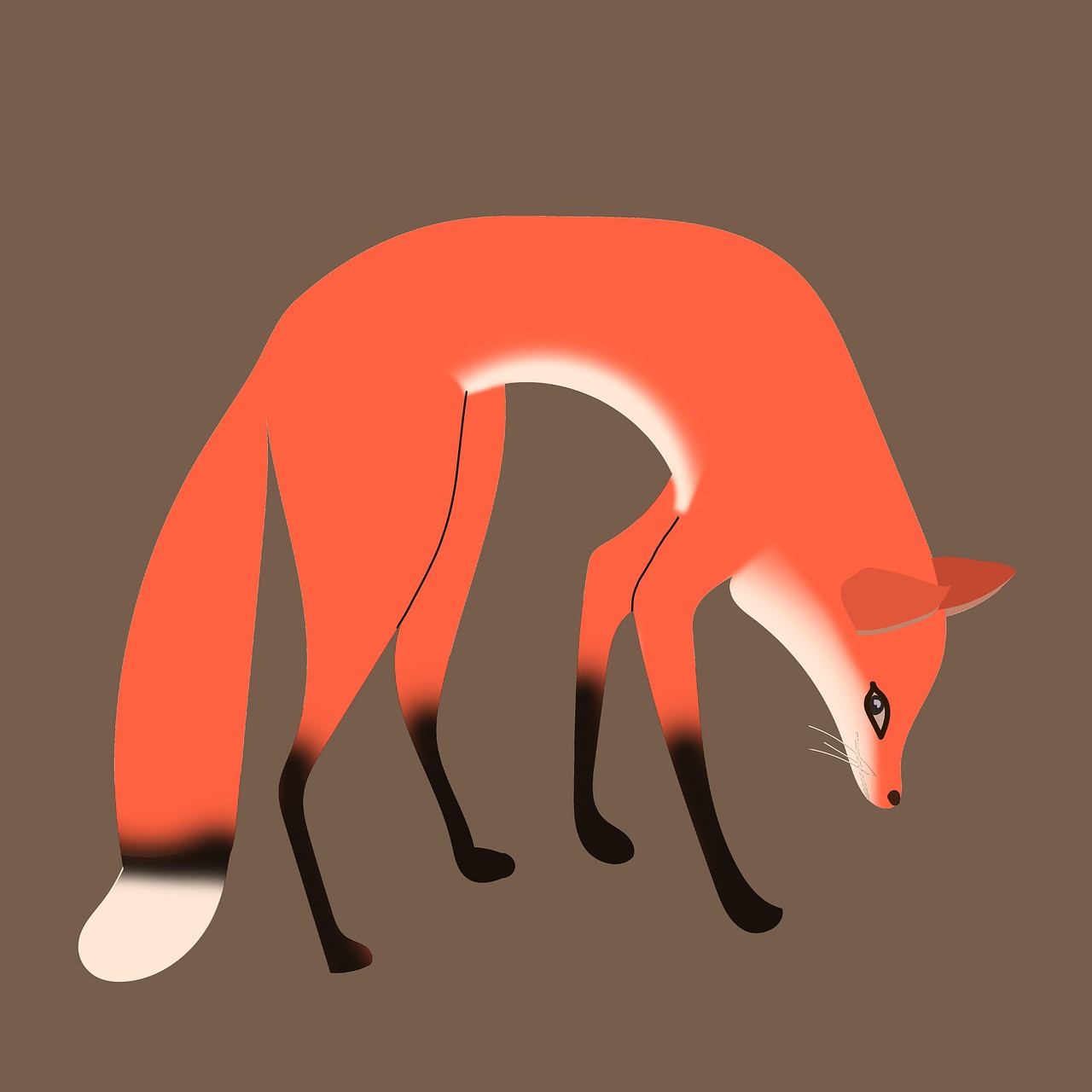 4 000 Free Sweetie Fox Fox Images Pixabay