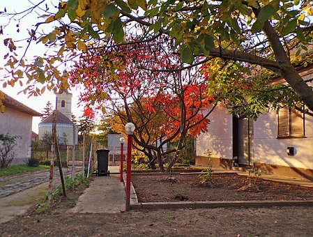 Free Autumn Nature photo and picture
