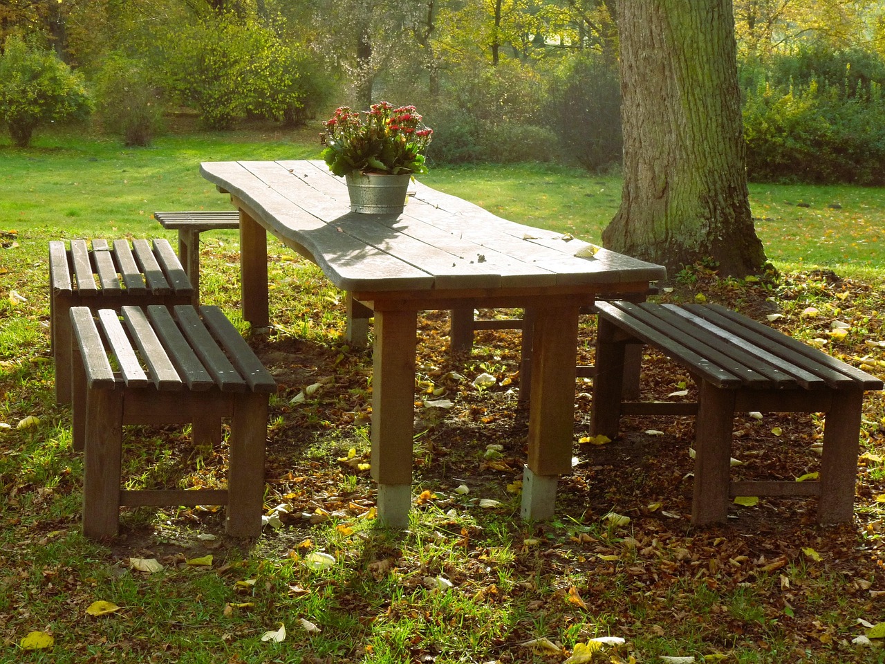 Seating Arrangement Tree Table Free photo on Pixabay Pixabay