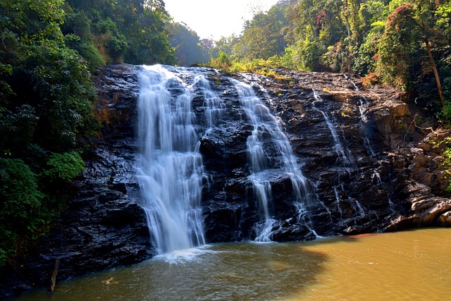 Free Waterfall Abbey Falls photo and picture