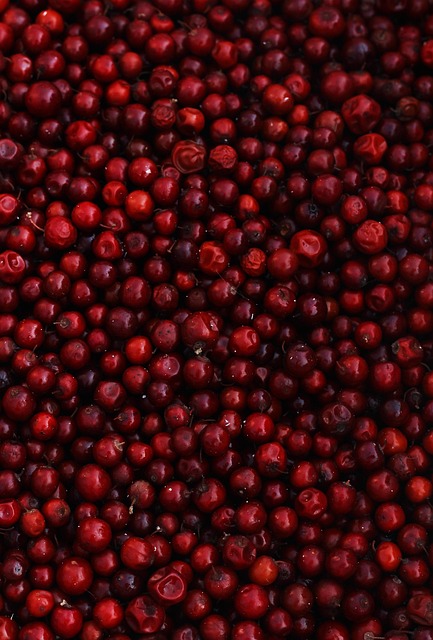 Baies Aliments Rouge - Photo gratuite sur Pixabay - Pixabay