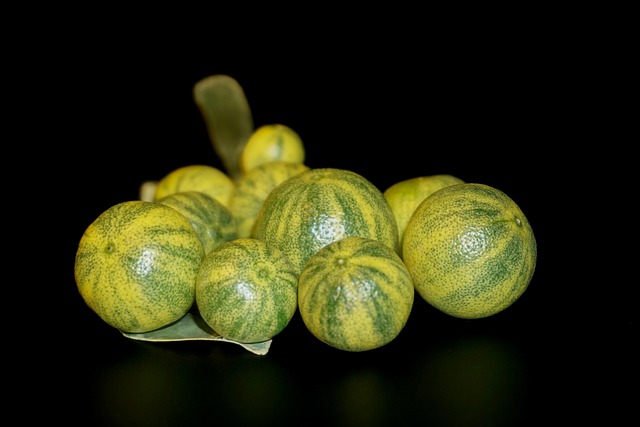 Free Fruit Citrus photo and picture