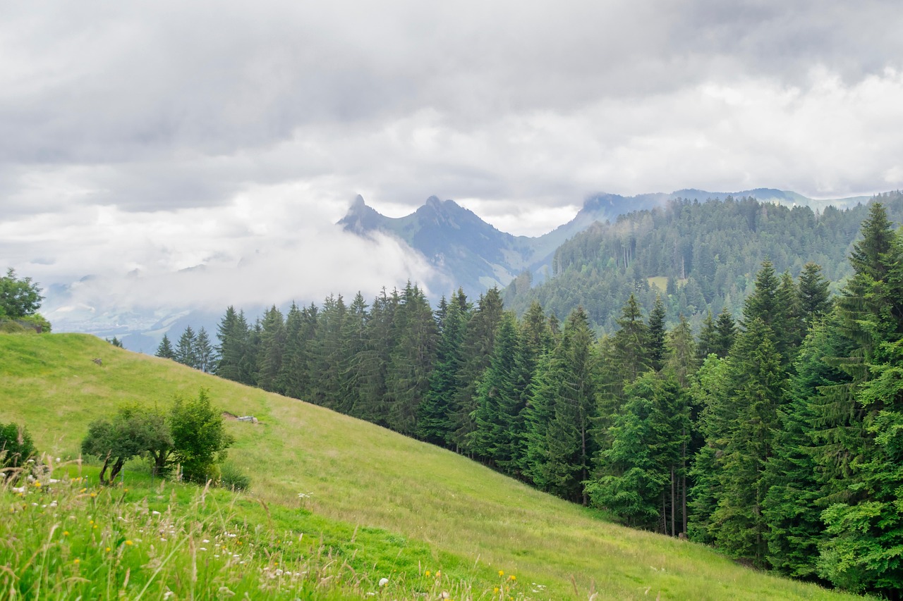 Landscape - free online jigsaw puzzle photo